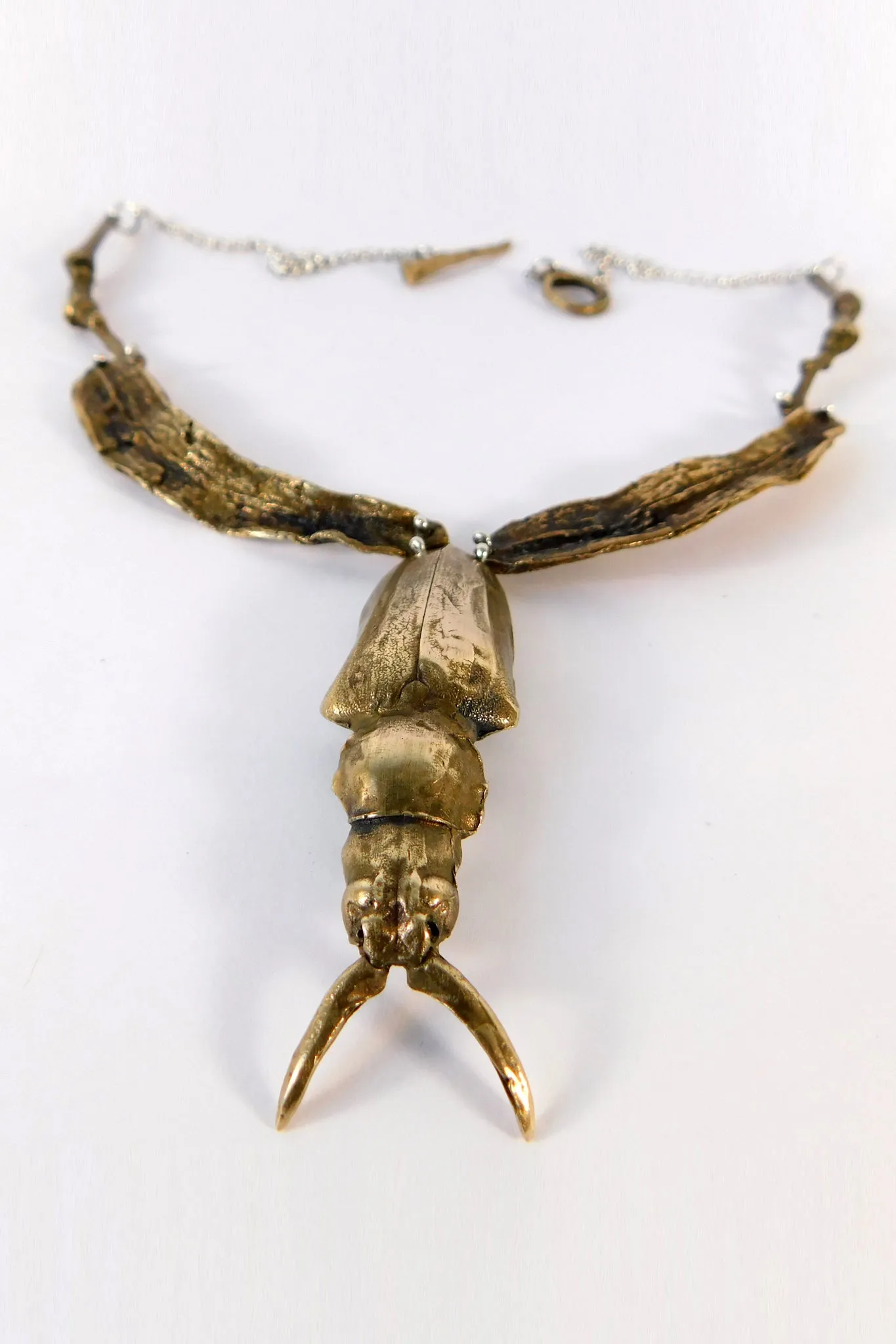 Dorysthenes Walkeri Necklace