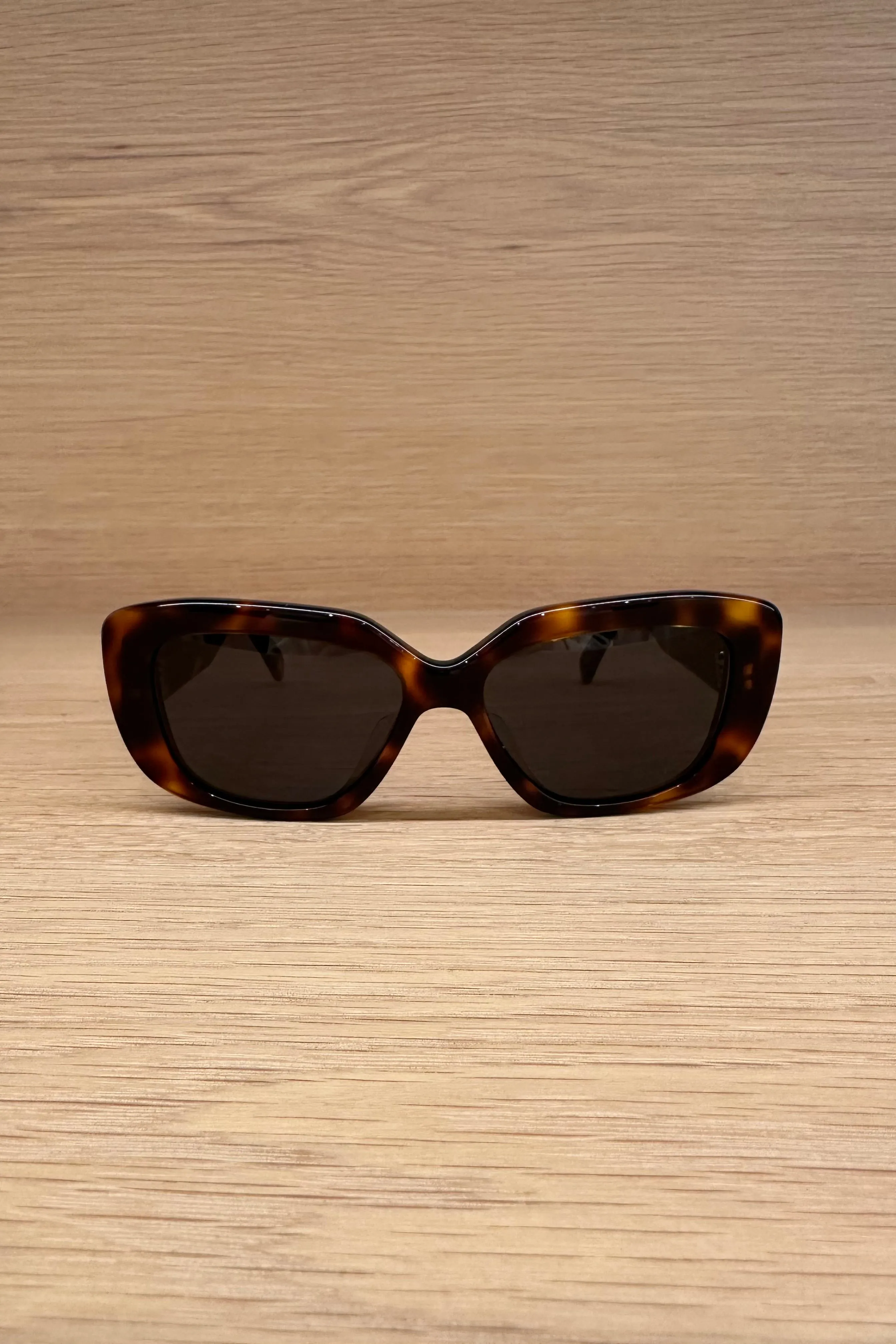 Triomphe 04 Rectangular Acetate Sunglasses