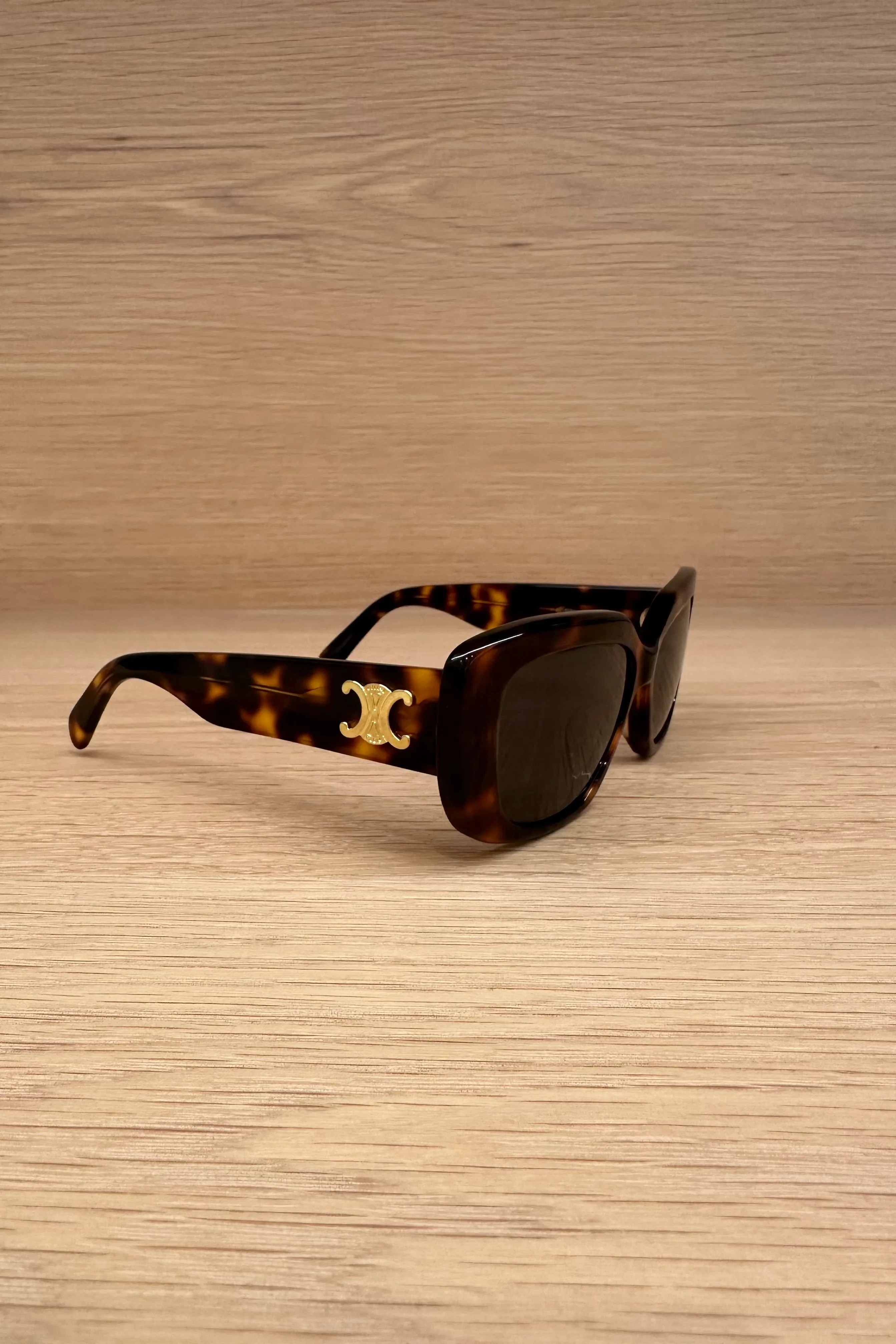 Triomphe 04 Rectangular Acetate Sunglasses